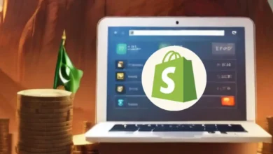 earn money from shopify